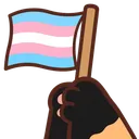Emoji z_trans_flag