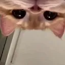 Emoji cat_hiii