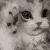 Emoji cat_hug
