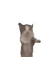 Emoji cat_jump