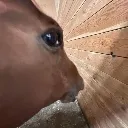 Emoji sideeye