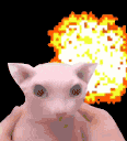 Emoji Bangus