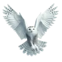 Emoji harfang1