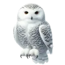 Emoji harfang2