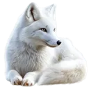 Emoji renardfesneiges2