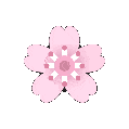 Emoji cherryblossomspin