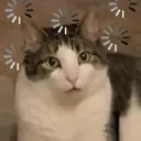 Emoji gpacompris