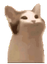 Emoji Popcat