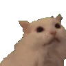 Emoji criecat