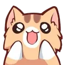 Emoji nekocat_expect
