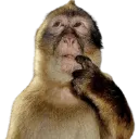 Emoji monkeythink