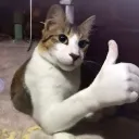 Emoji angrycat
