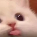 Emoji tama_catblep