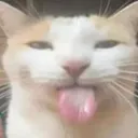 Emoji blehhh