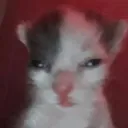 Emoji emoji_95