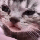 Emoji Ganja_cat