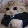Emoji Ganja_cat