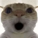 Emoji Mine_GatinSurpreso