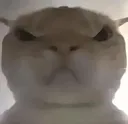 Emoji Mine_GatinRaiva