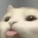 Emoji Mine_GatinLingua