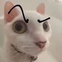 Emoji que