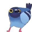 Emoji pigeondance