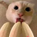Emoji orgie