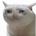 Emoji crycat