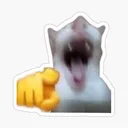 Emoji Cat_rigole_meme