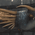 Emoji O1_DragonCoucou_Beurk