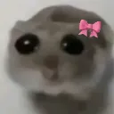 Emoji sadhamster