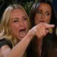 Emoji woman_yelling_at_cat_meme