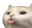 Emoji bleh7