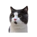 Emoji emoji_125
