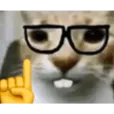 Emoji nerdCat