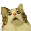Emoji chatfaitpeur