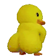 Emoji poussinfesses