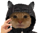 Emoji CC_Cat_Drugs