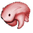 Emoji Bear_Nara