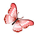 Emoji Butterfly_Nara
