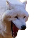 Emoji Wolf_Laugh2