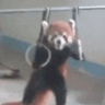 Emoji Panda_Nara