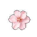 Emoji Flower_Nara