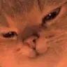 Emoji malichat