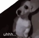 Emoji 506788shydog