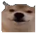 Emoji 9957okaybro