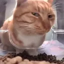 Emoji ffc179d5b5fee6cb491fc5c34bfae13e