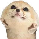 Emoji tropmignon