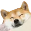Emoji HL_01_chien