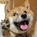 Emoji HL_01_chien